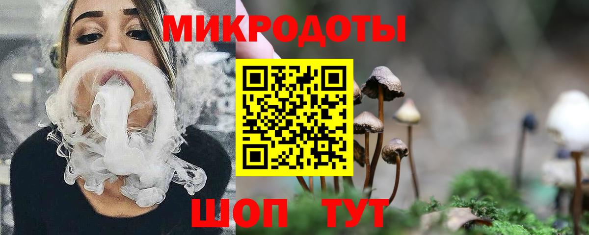 Галлюциногенные грибы Magic Shrooms Калининград
